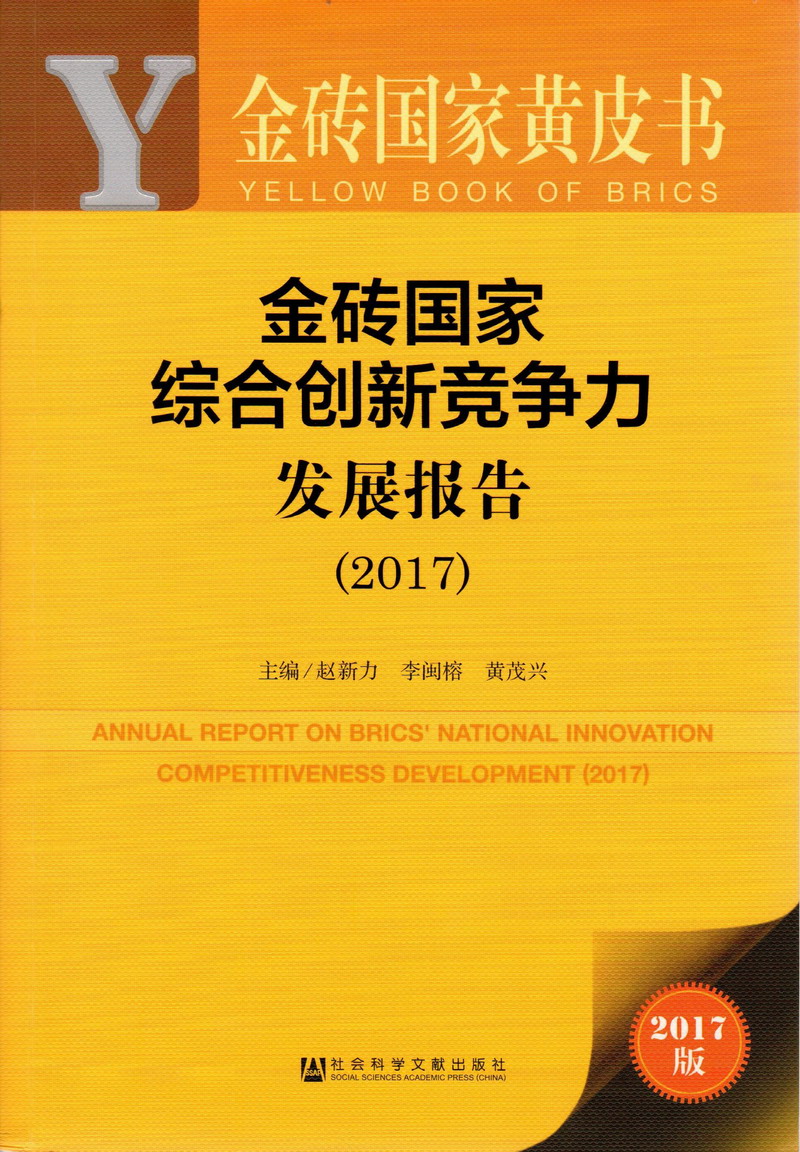 国产操逼逼啊啊啊不要射了金砖国家综合创新竞争力发展报告（2017）